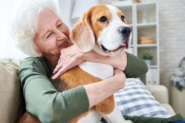 Seniors & Pets: 5 Compelling Reasons for Pet Ownership